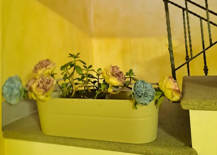 Casa Flora